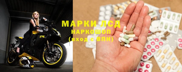 крисы Аркадак