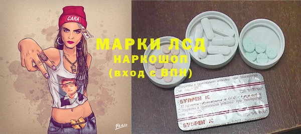 гидра Строитель