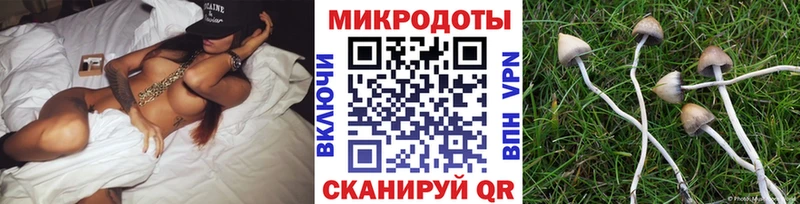 Галлюциногенные грибы прущие грибы  Слободской 
